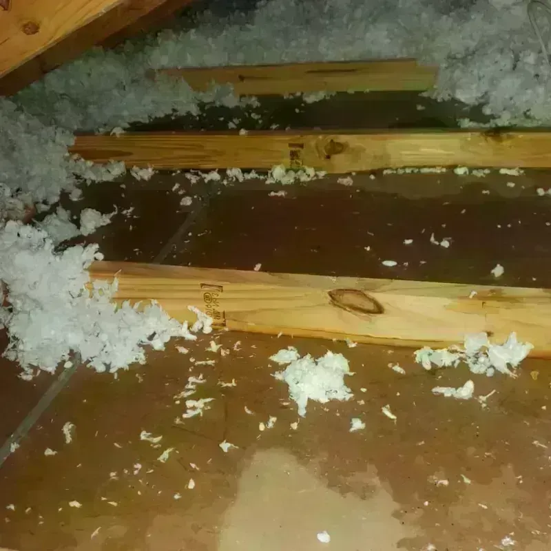 Attic Water Damage in Velva, ND