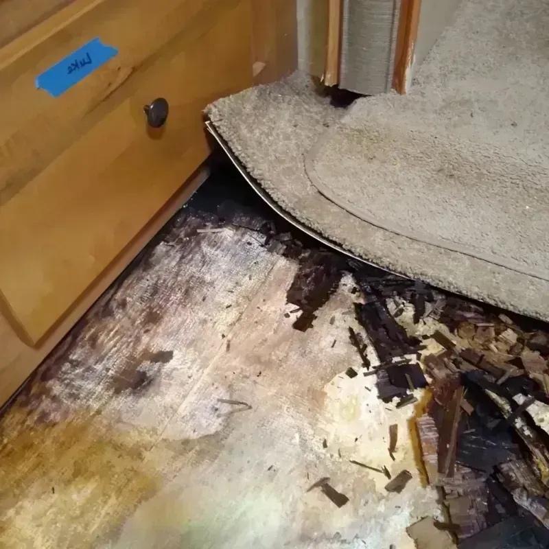 Wood Floor Water Damage in Velva, ND